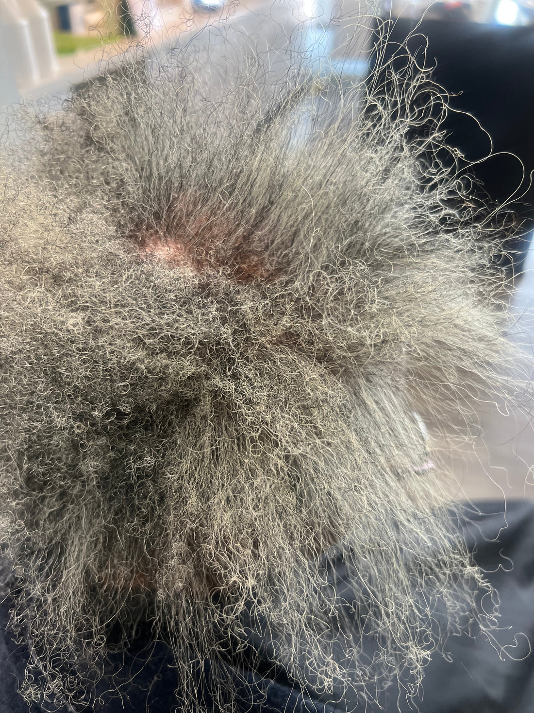 From Locs to Loose Natural Hair – A Big Hair Reset