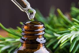Exploring the Hair Benefits of Rosemary Oil